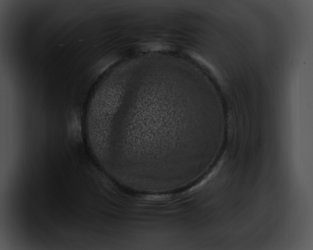 X0000099981305200806061514