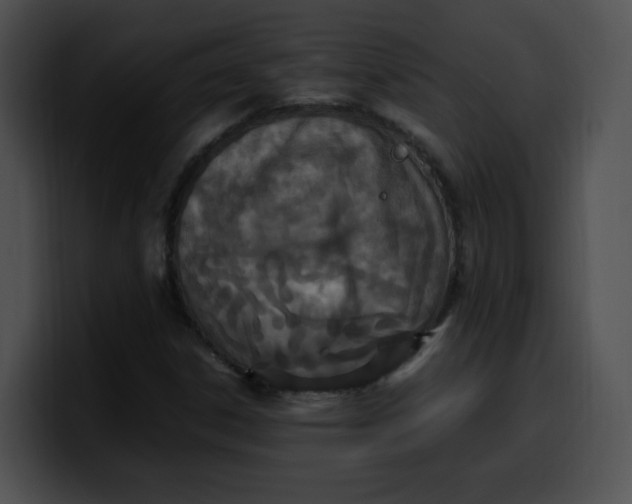 X0000099981306200806061514