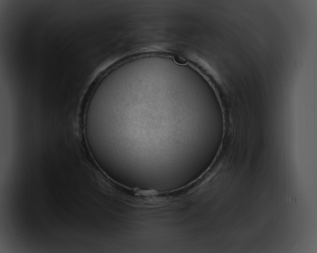 X0000099981308200806061515