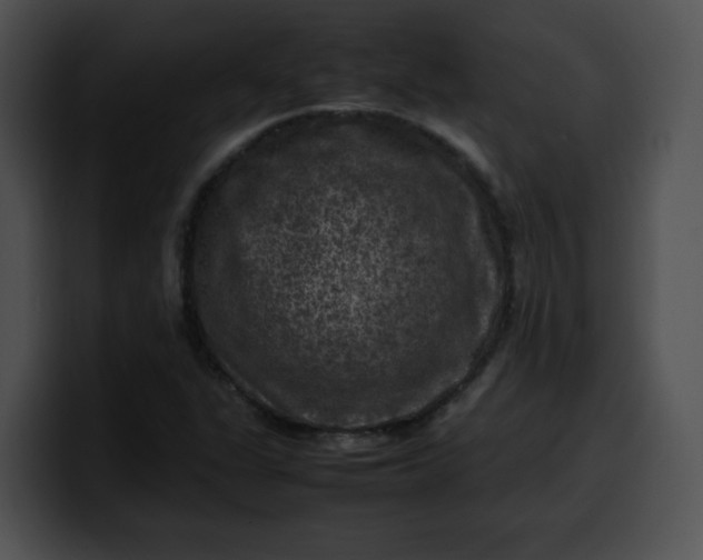 X0000099981311200806061515