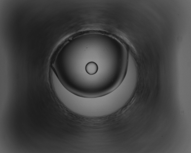 X0000099981312200806061515