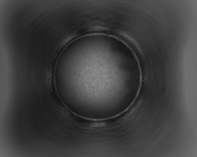 X0000099981313200806061515