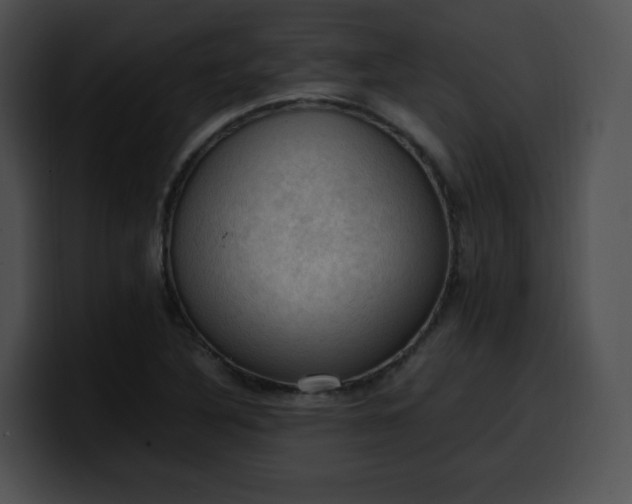 X0000099981316200806061515