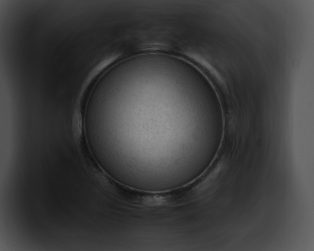 X0000099981317200806061515