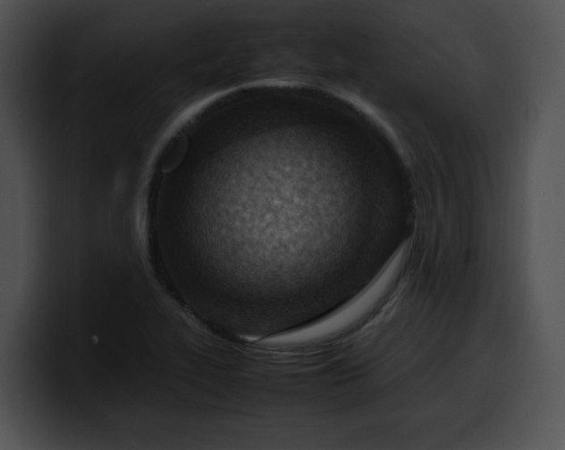 X0000099981319200806061515