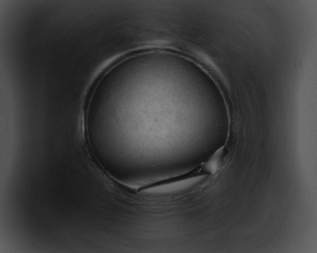 X0000099981320200806061515