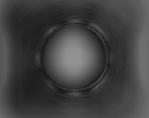 X0000099981321200806061515