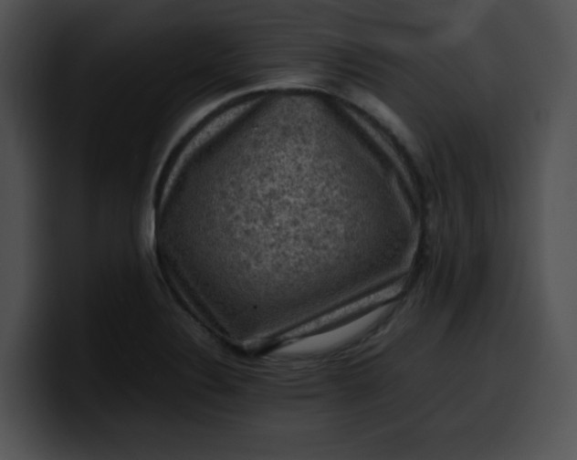 X0000099981324200806061515