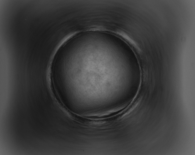 X0000099981325200806061515