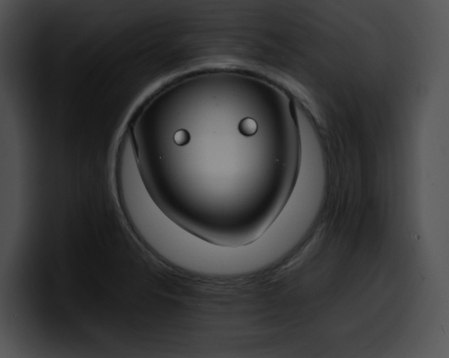 X0000099981326200806061515