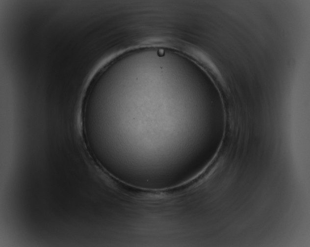 X0000099981328200806061515