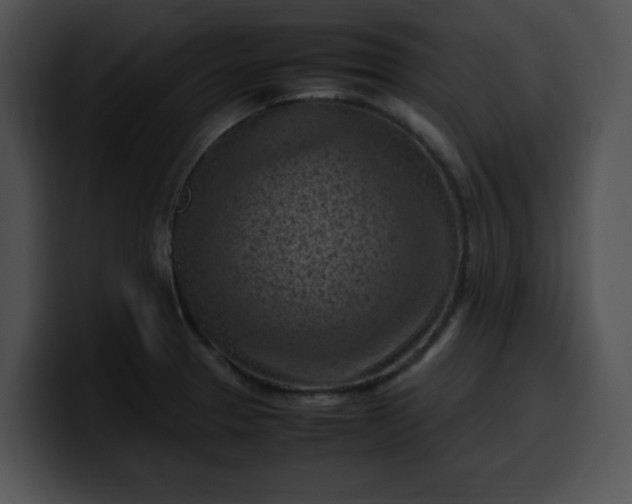 X0000099981329200806061515