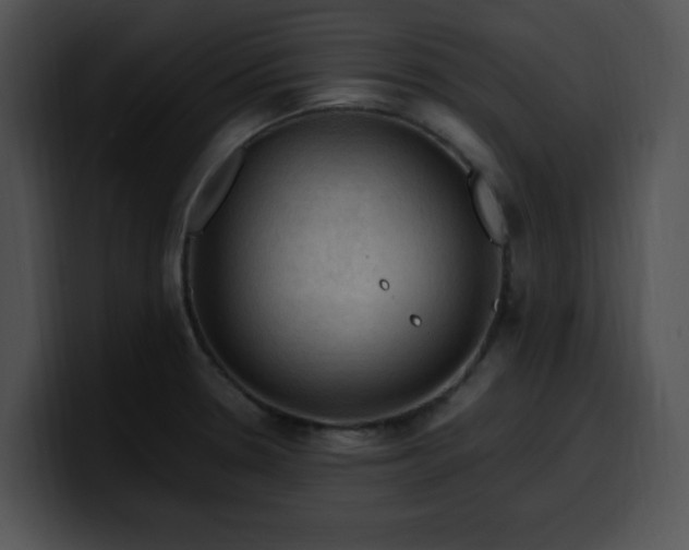 X0000099981330200806061515