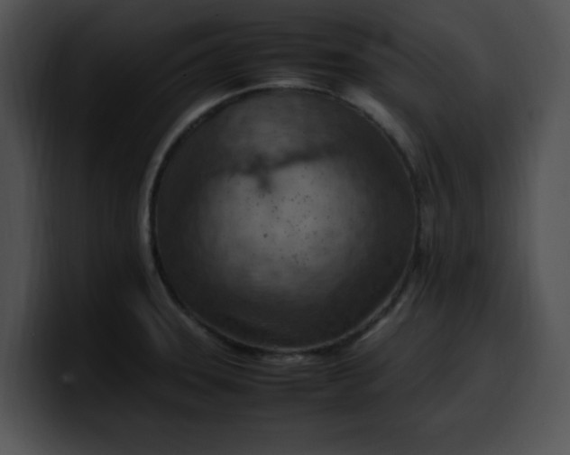 X0000099981331200806061515