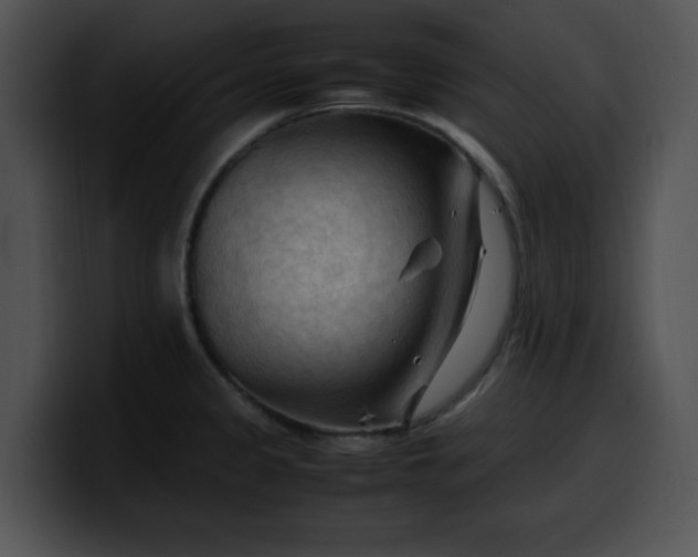 X0000099981333200806061515