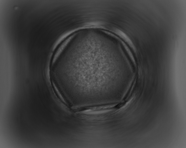 X0000099981336200806061515