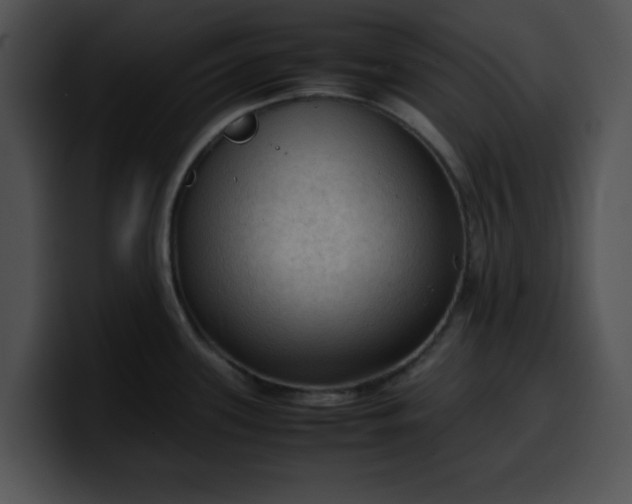 X0000099981339200806061515