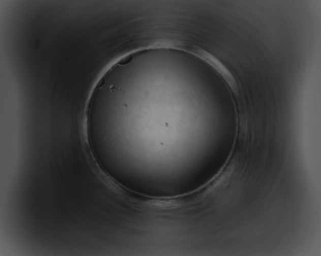 X0000099981340200806061515