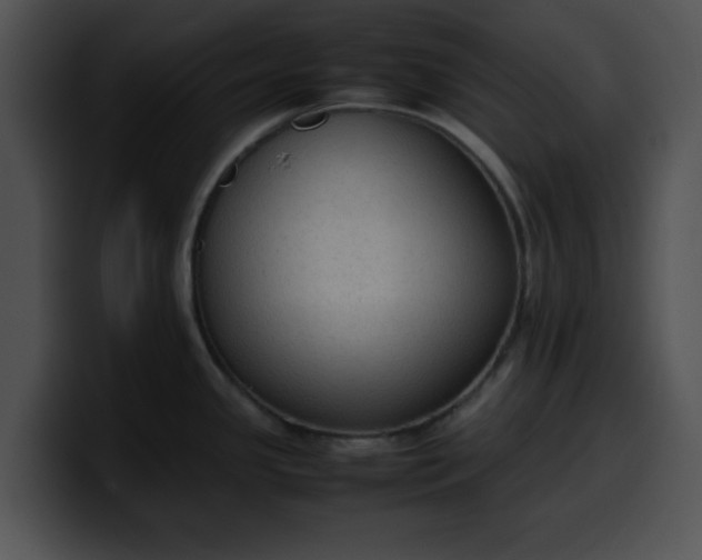 X0000099981341200806061515