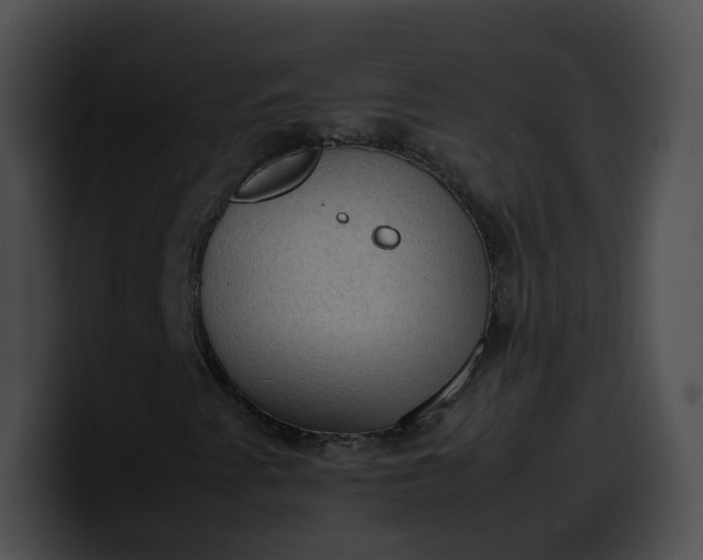 X0000099981345200806061514