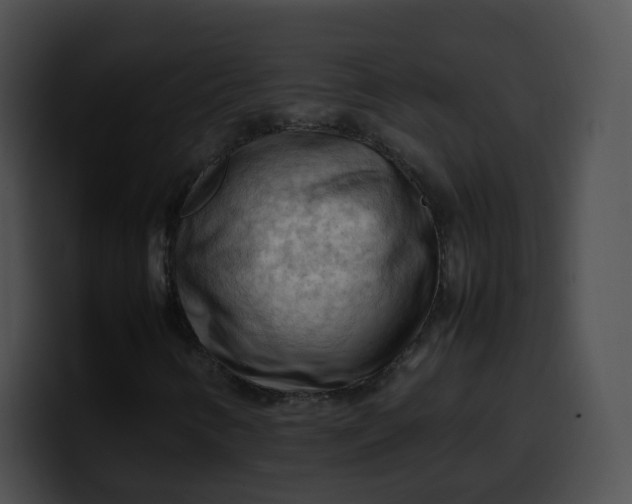 X0000099981346200806061514