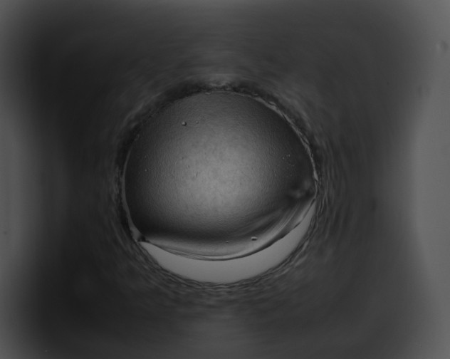 X0000099981349200806061514