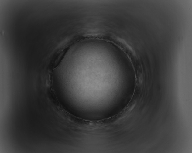 X0000099981350200806061514