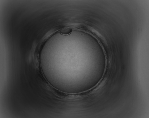 X0000099981354200806061514