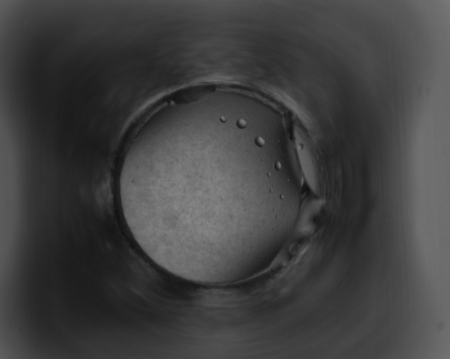 X0000099981356200806061514