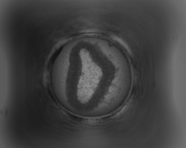 X0000099981357200806061514