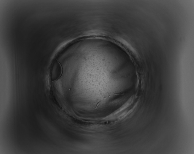 X0000099981358200806061514