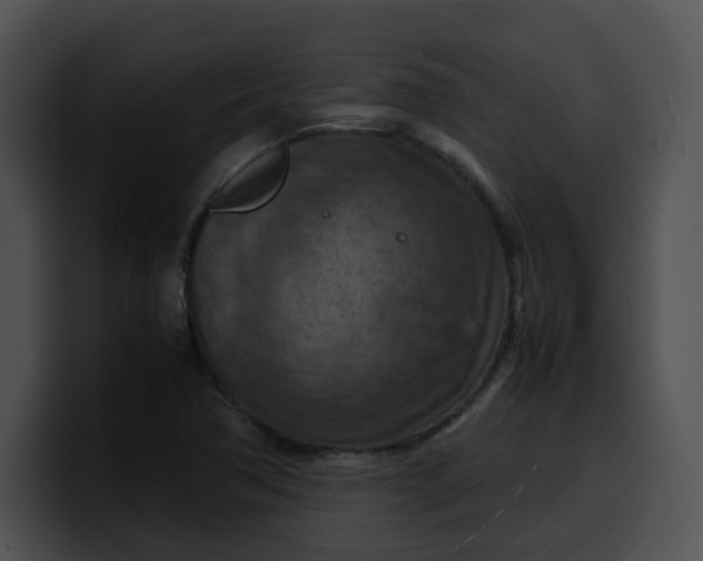 X0000099981362200806061514