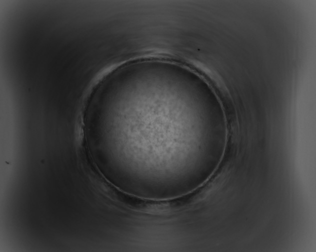 X0000099981363200806061514