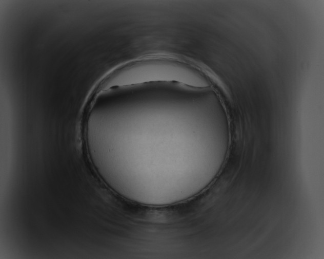 X0000099981364200806061514