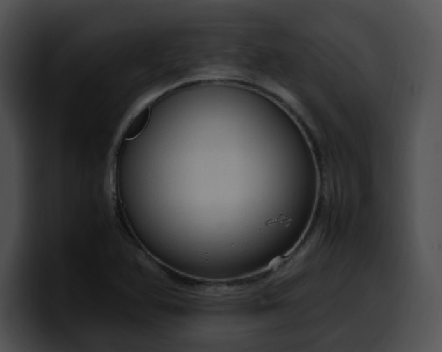 X0000099981366200806061514