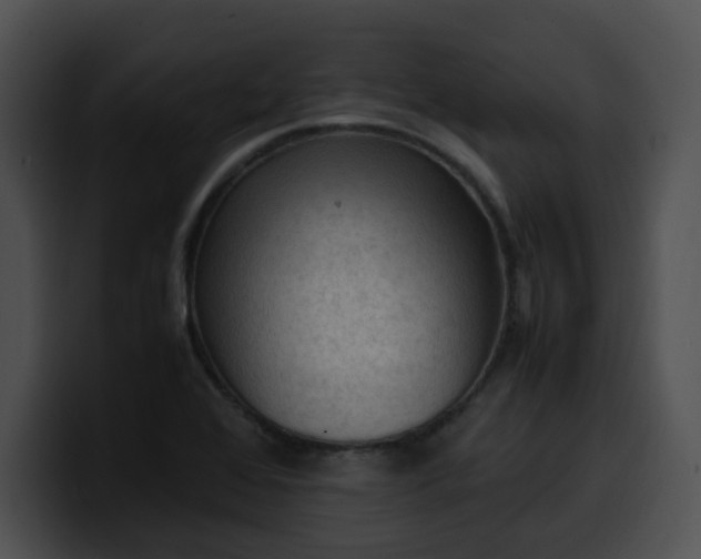 X0000099981368200806061514