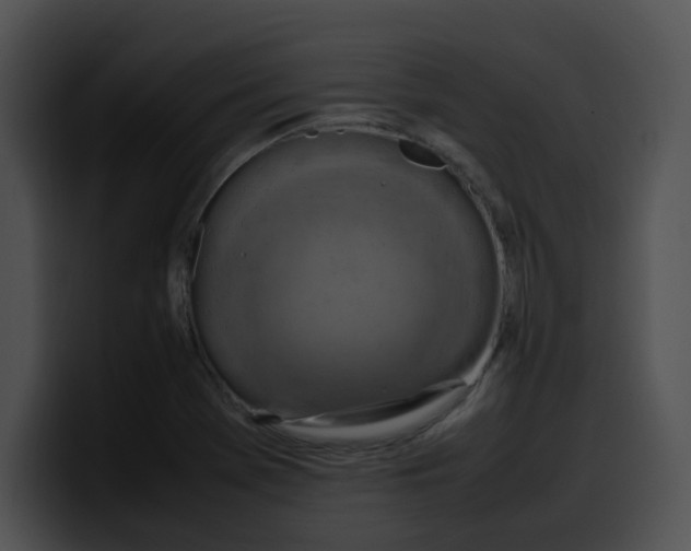 X0000099981369200806061514