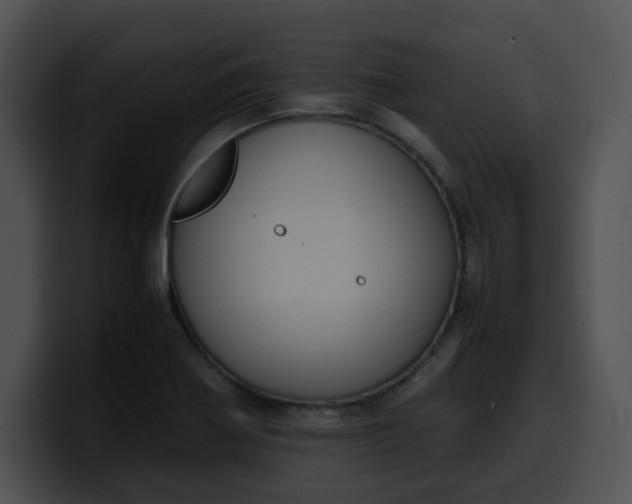 X0000099981370200806061514