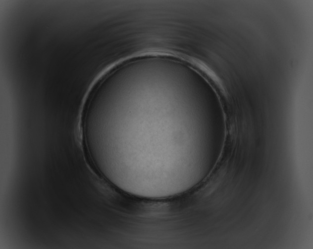 X0000099981372200806061514