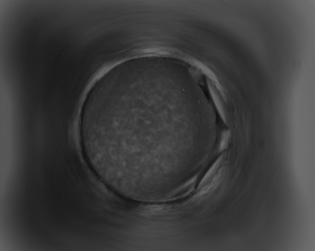 X0000099981373200806061514