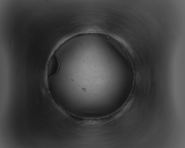 X0000099981374200806061514