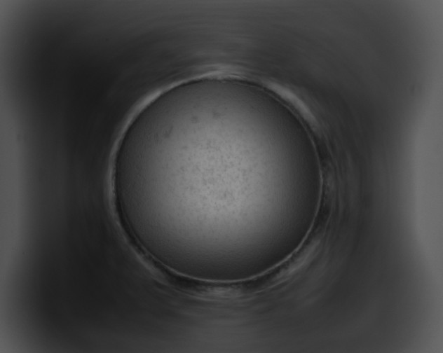 X0000099981375200806061514