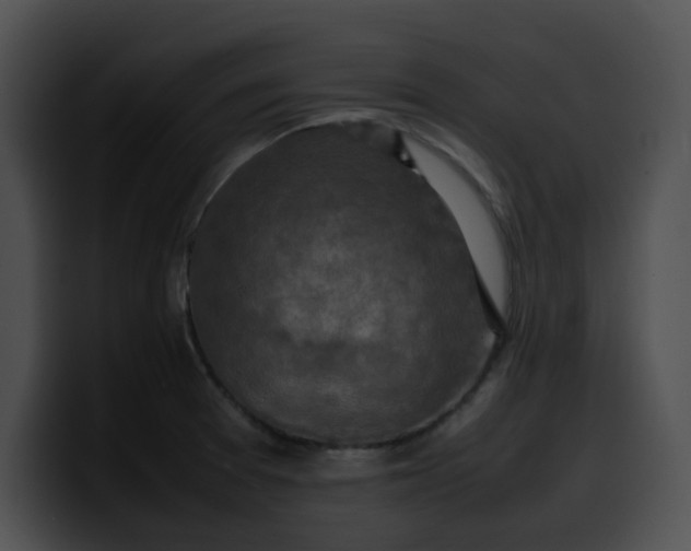 X0000099981377200806061514