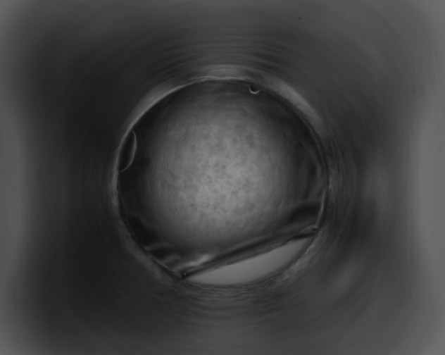 X0000099981378200806061514