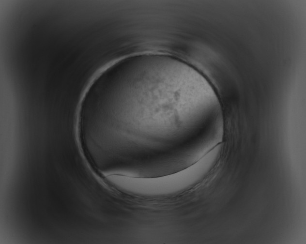 X0000099981379200806061514