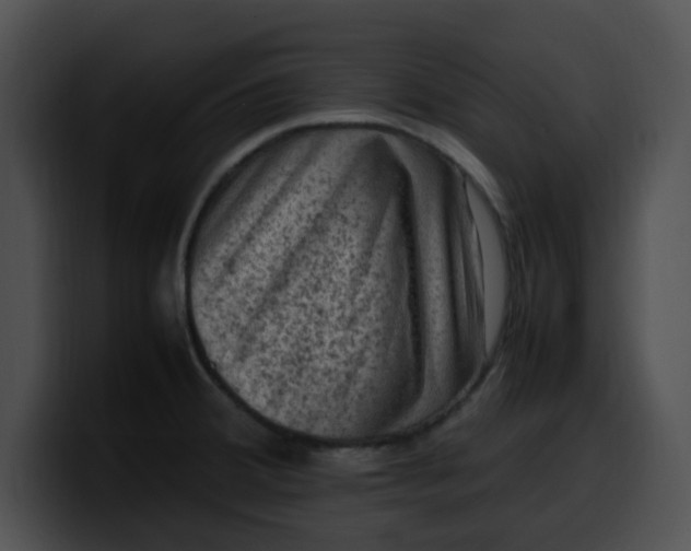 X0000099981380200806061514