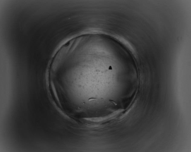 X0000099981382200806061514