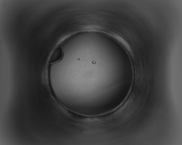 X0000099981384200806061514