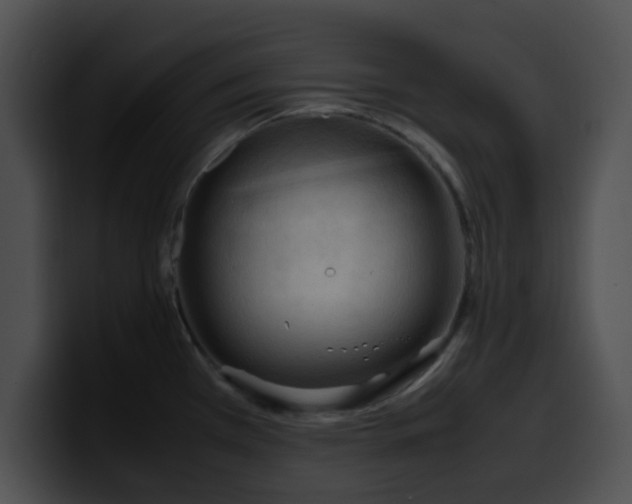 X0000099981385200806061514