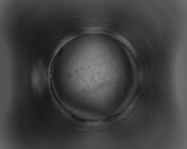 X0000099981386200806061514